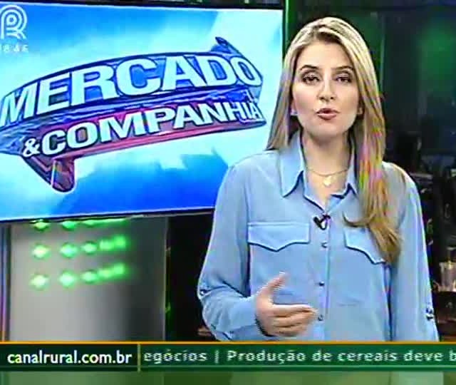 Preços do frango vivo caem 12% em duas semanas, segundo Cepea