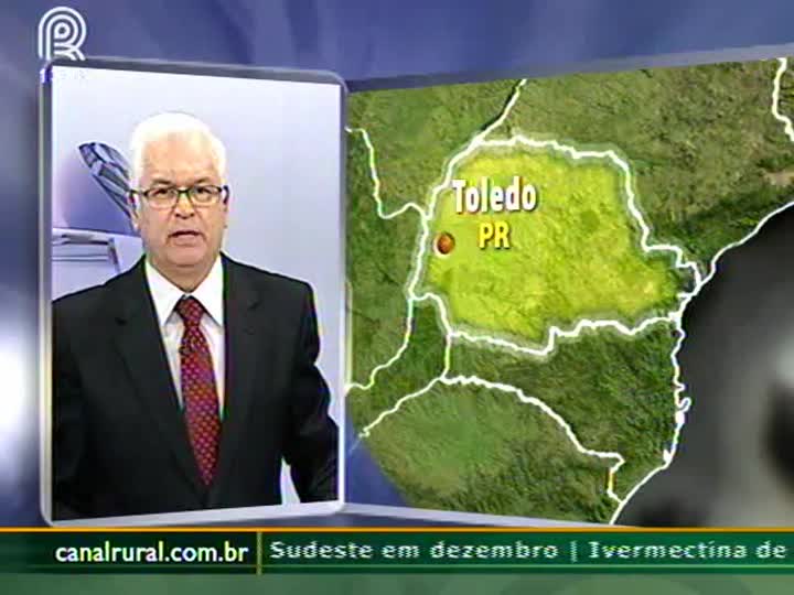 Demanda interna gera alta de preços dos suínos