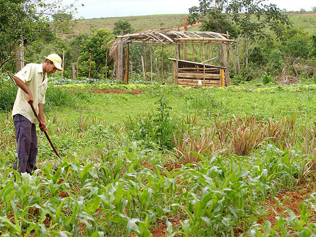 Ministro do Desenvolvimento Agrário diz que Código Florestal precisa dar atenção especial ao pequeno produtor
