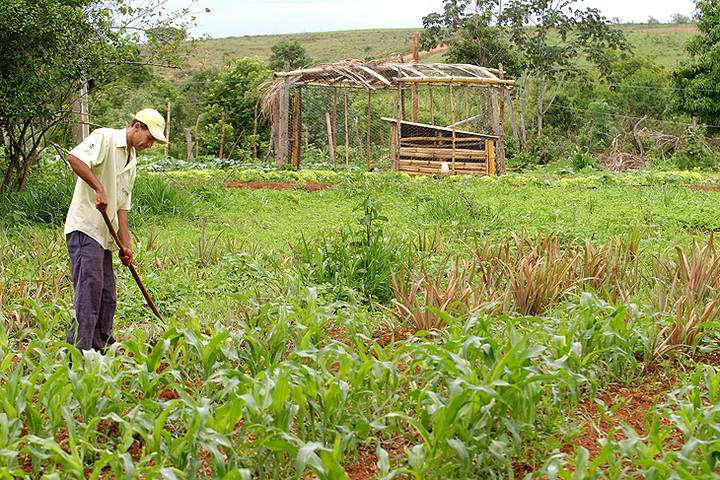 Ministro do Desenvolvimento Agrário diz que Código Florestal precisa dar atenção especial ao pequeno produtor