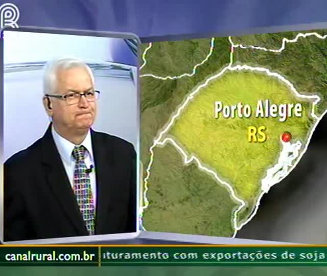 Trigo deve registrar valorização no começo de 2015