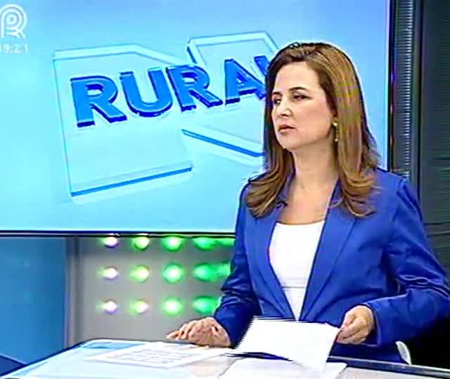 Queda nas cotações do petróleo favorece preços da soja