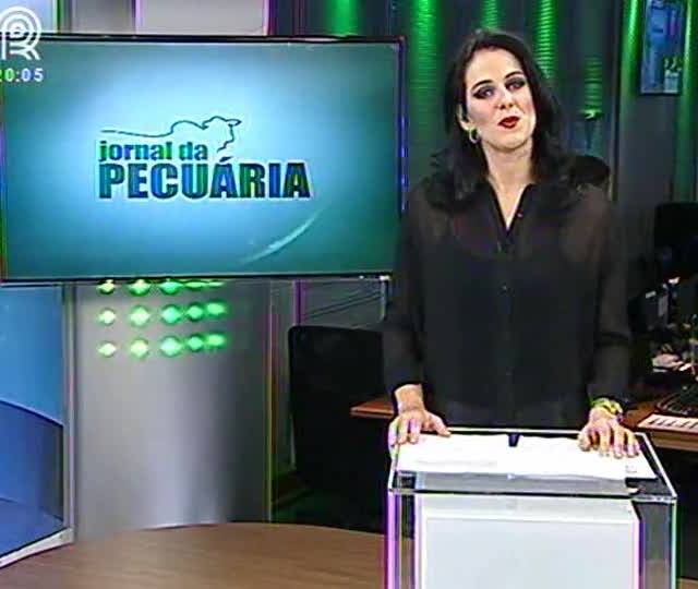 Mapa vai incentivar o sistema de gestação coletiva de suínos