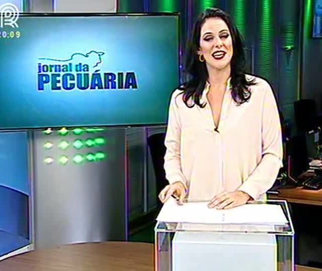 Vejas projeções do mercado pecuário para 2015