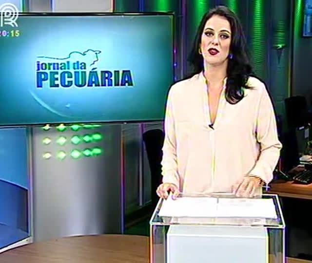Entre 2009 e 2013, o rebanho bovino do MS sofreu com uma diminuição de 5%