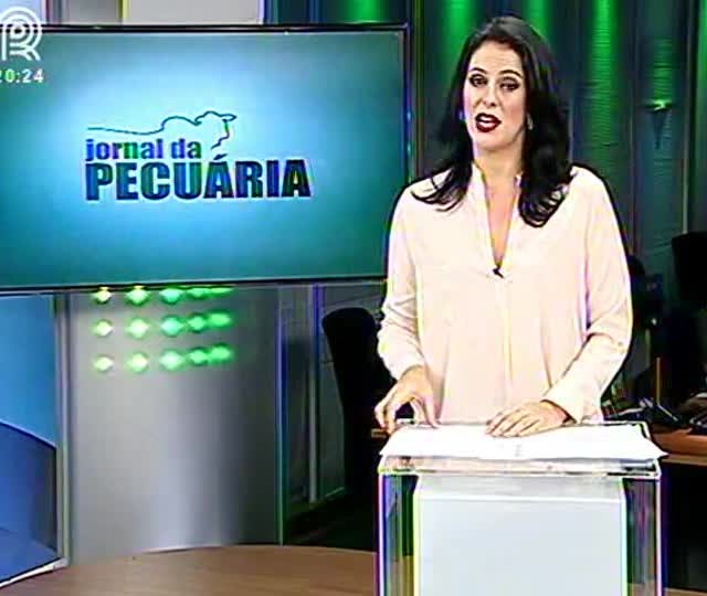 Preço pago ao frango vivo está baixo