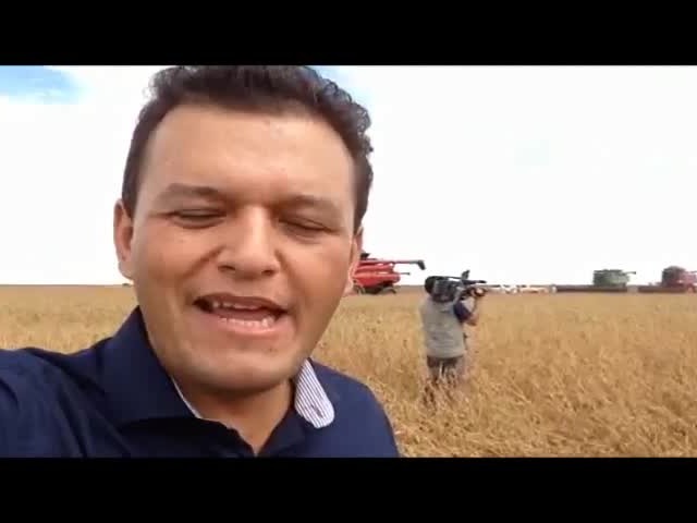 Primeira colheita da safra 2014/2015 em Campos de Júlio (MT)