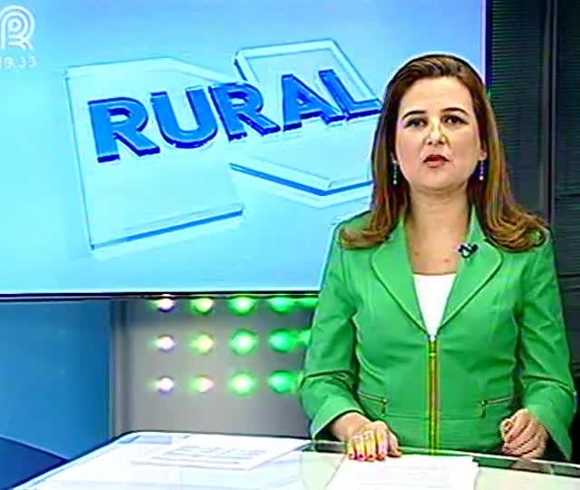 Com benzoato autorizado, produtores da Bahia apostam no defensivo para combater a lagarta