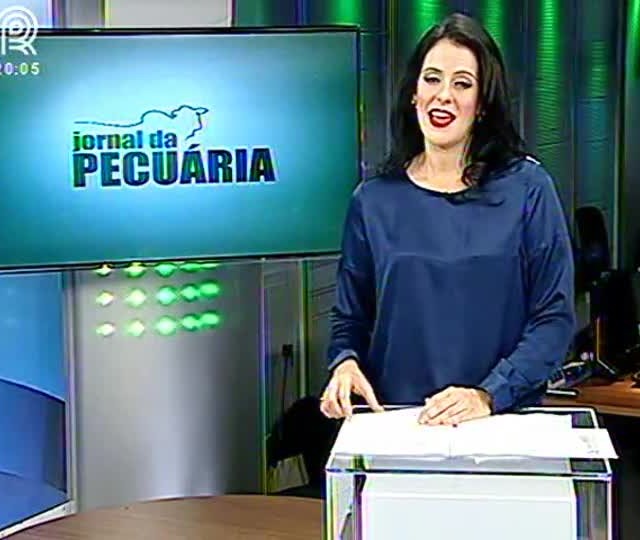 Veja o balanço do setor pecuário para 2015