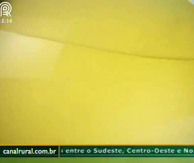 Áureo Lantmann faz um balanço dos primeiros meses de safra e acredita em safra recorde