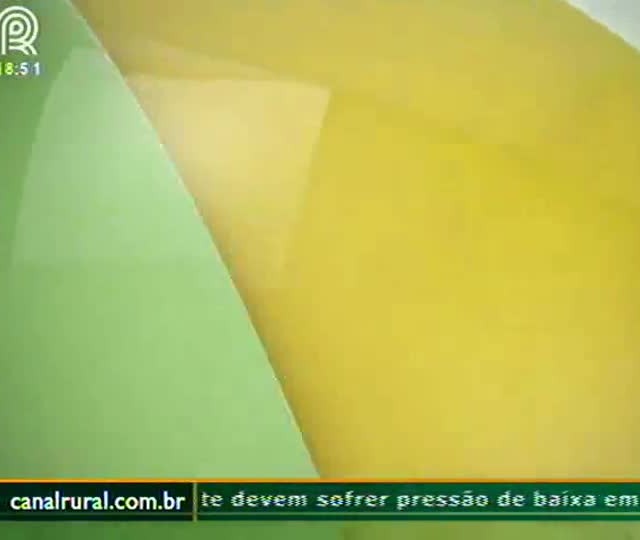 Produtores do oeste da Bahia travam batalha com Monsanto na Justiça para garantir sementes salvas