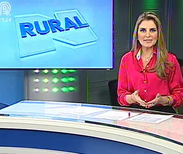 Estiagem prejudica produção de soja