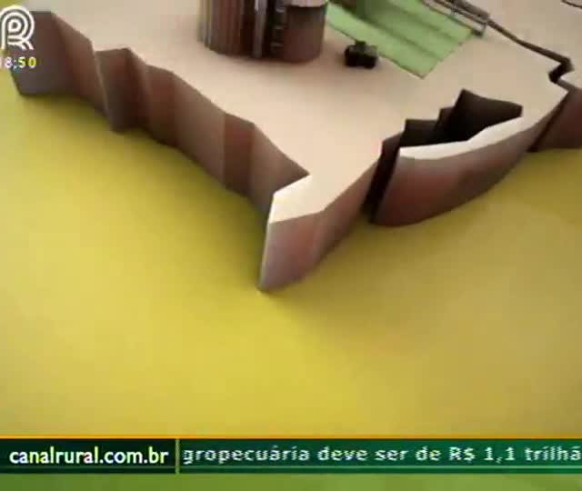 Tapurah (MT) começa a colher e produtores se preparam para produzir algodão