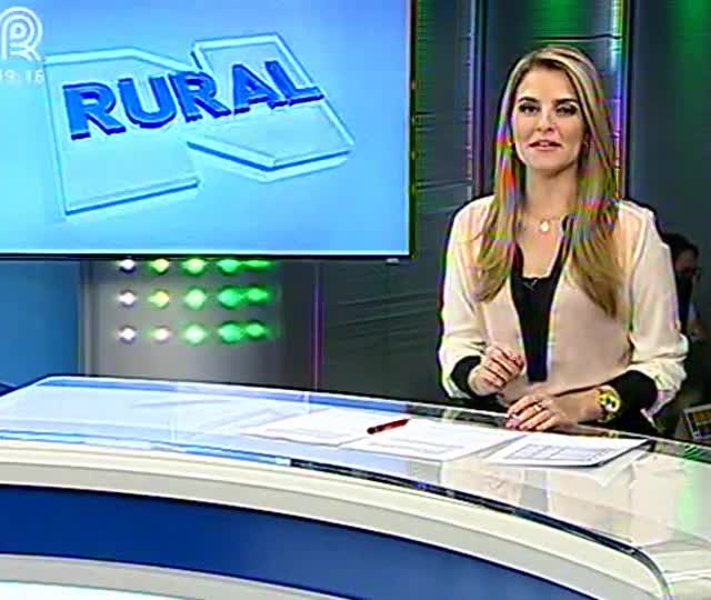 Helicoverpa aumenta custos da soja no Distrito Federal