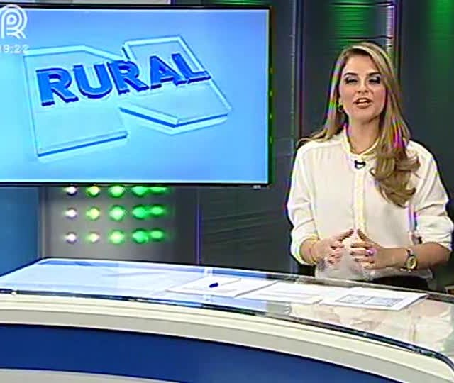 Oeste da Bahia não registra surtos de ferrugem há mais de uma década