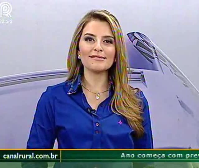 Paraná inicia colheita da soja