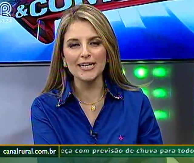 Expectativa de soja e milho nos próximos meses