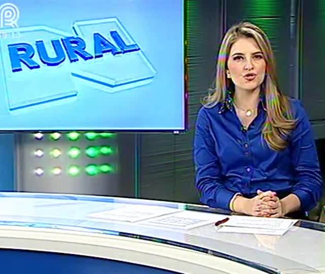 Soja perde produtividade com seca em São Paulo