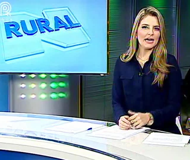 Soja e algodão compartilham território e dificuldades no oeste da Bahia