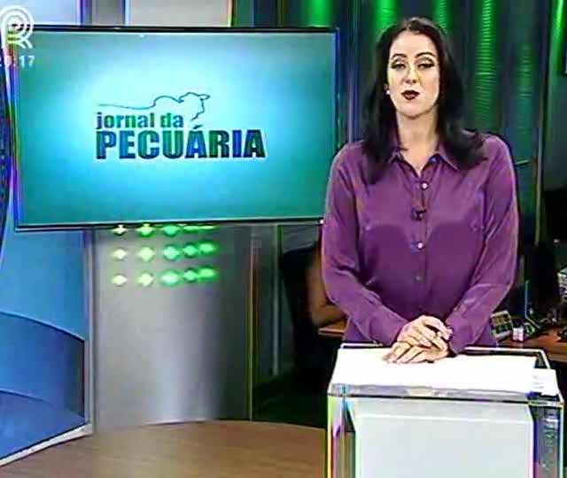Veja como será 2015 para a pecuária de corte