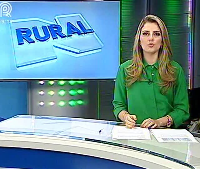 Período de vazio sanitário da soja é modificado em Mato Grosso