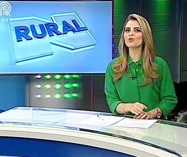 Brasil teve alta na produção de suínos em 2014