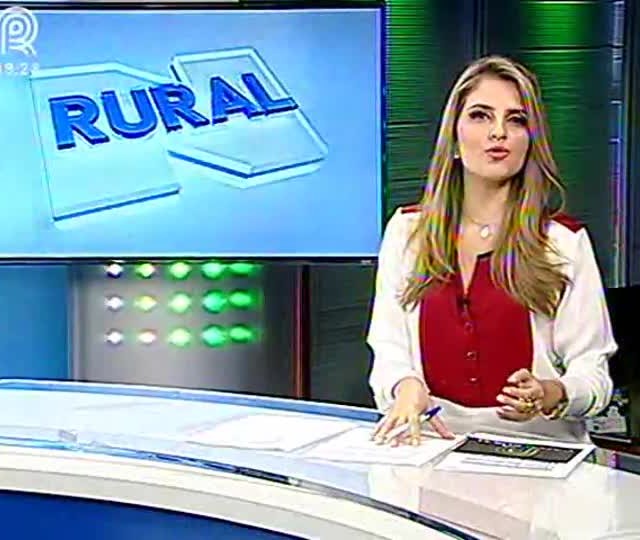 Produtores do RS com cuidado redobrado contra pragas