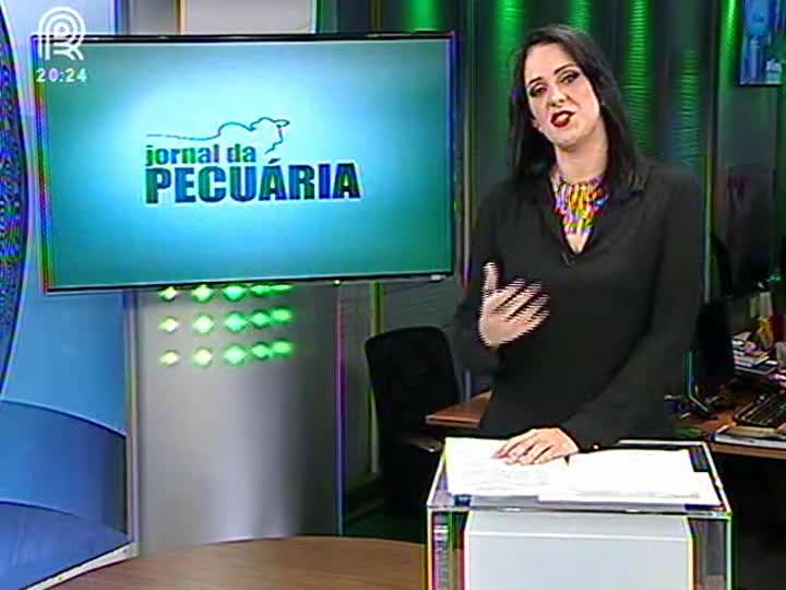 Oferta curta segura boi gordo