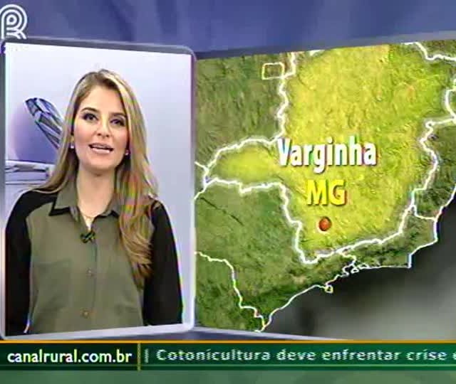 Safra de café do sul de Minas Gerais está comprometida