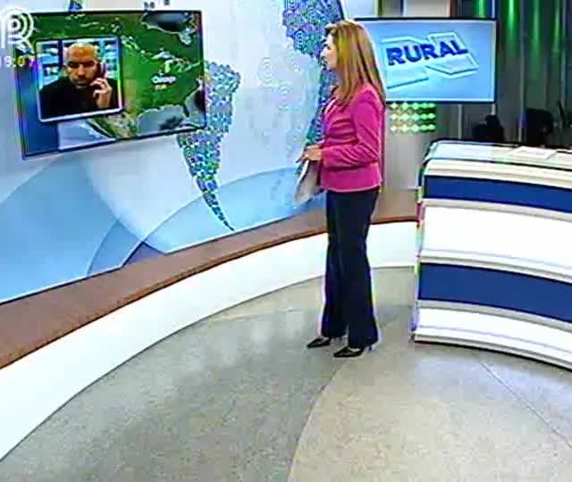 USDA divulga resultados da safra 2013/2014 para soja e milho