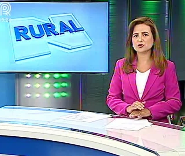 Chuva no Rio Grande do Sul faz produtores optarem por replantio da soja