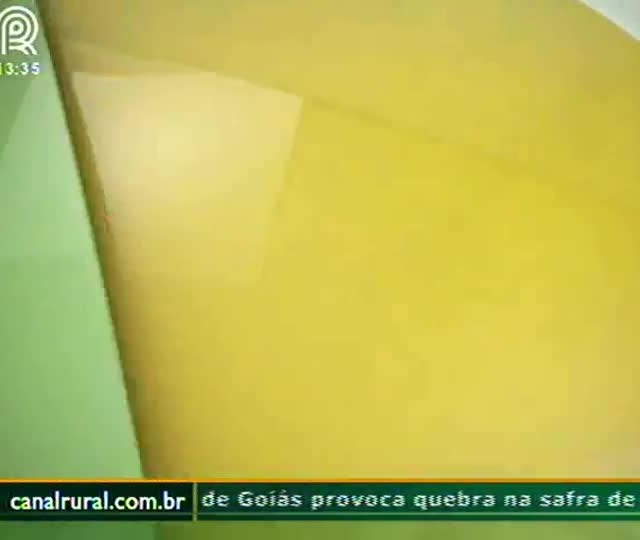 Goiás enfrenta veranico em momento importante da safra