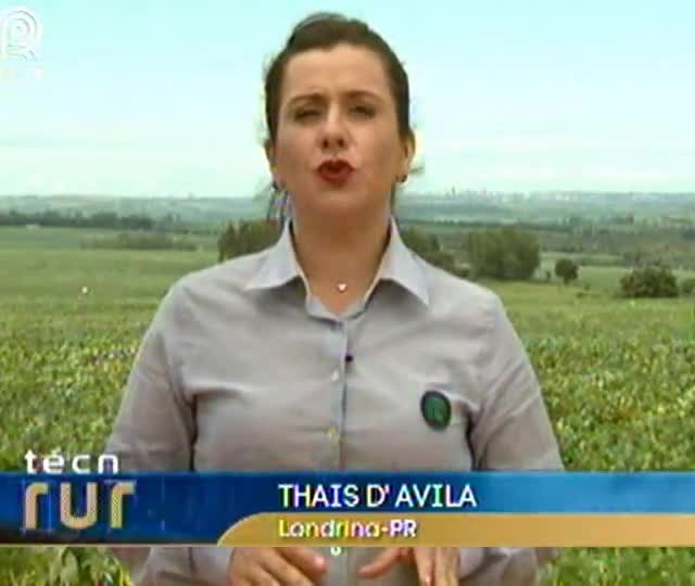 Tecnologia de aplicação, parte importante do processo produtivo para alavancar o potencial da soja