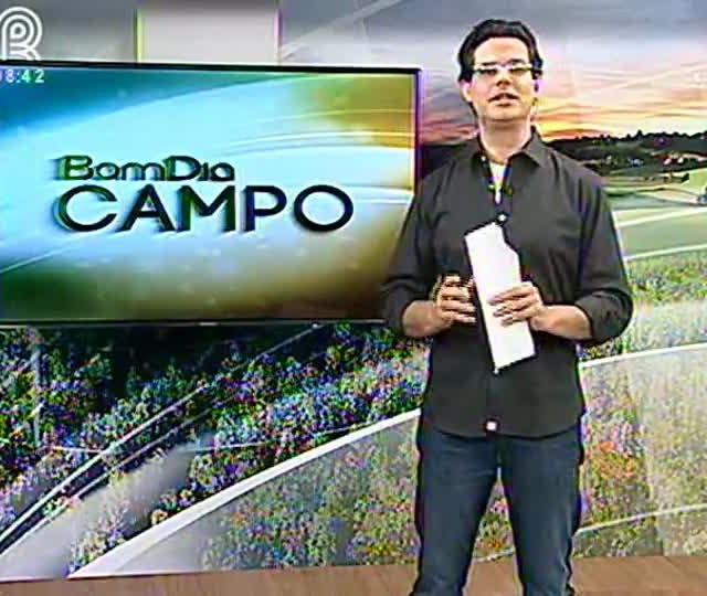 Pesquisador fala sobre crotalária