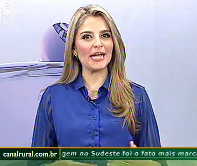 Falta de uniformidade das chuvas preocupa produtores de Querência (MT)