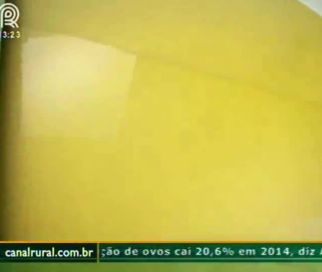 Presença da falsa medideira mais cedo que o normal em lavoura de Mato Grosso do Sul