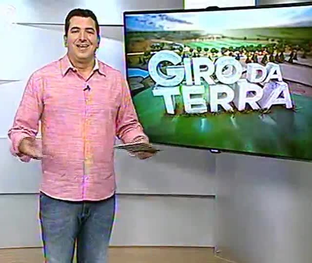 Especialista comenta crescimento da pecuária
