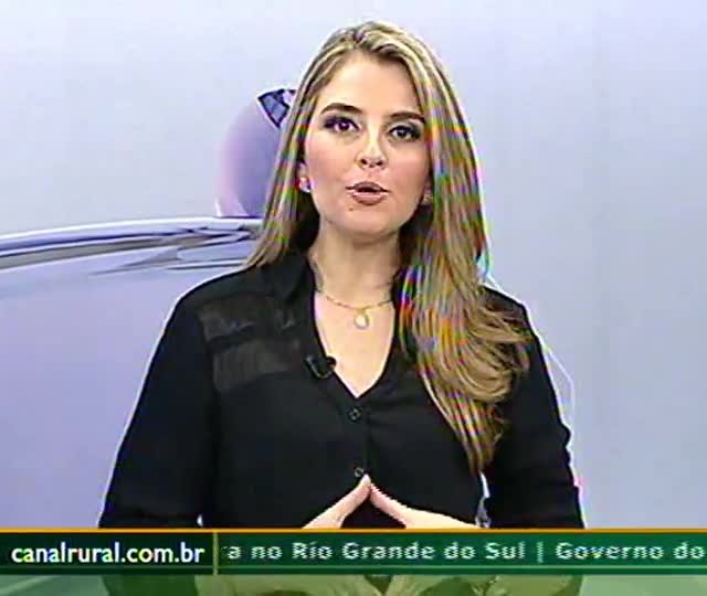 Tempo seco em Guaíra (PR) prejudica desenvolvimento da soja
