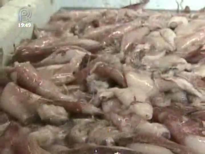 Pescadores e comerciantes comemoram aumento nas vendas de fim de ano