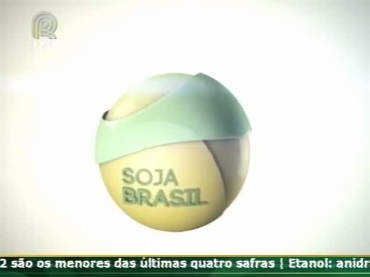 Produtor rural fala da falta de logística na região de Ponta Porã (PR)