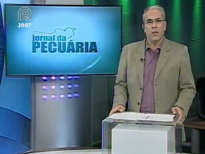 Especialista fala sobre o mercado de carne