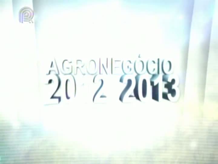 Manutenção das exportações e conquistas junto ao governo beneficiam produtores de arroz em 2012