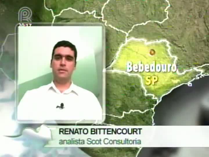 Scot Consultoria fala sobre o consumo de carne para o fim de ano