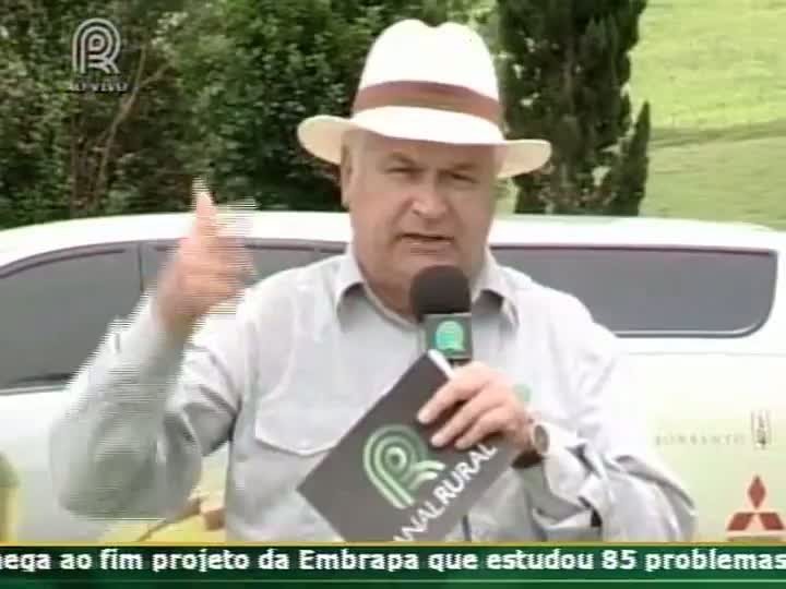 Presidente da Aprosoja Rio Grande do Sul fala sobre a produção em Tapera (RS)