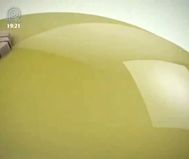 Falhas na condução das lavouras de milho transgênico no Paraná podem ter comprometido desempenho do produto