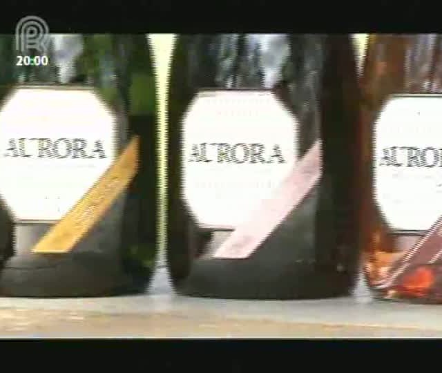 Programa E Por Falar em Vinhos mostra vinhos brasileiros de verão