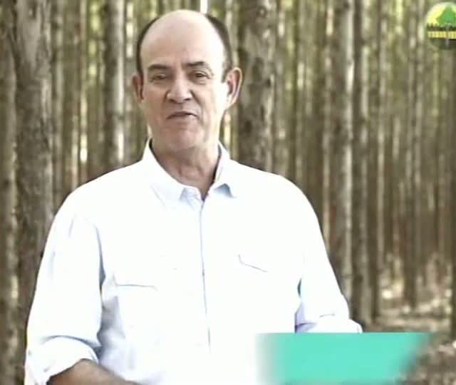 Painel Florestal mostra histórias de pessoas que mudaram suas vidas pelo setor de florestas