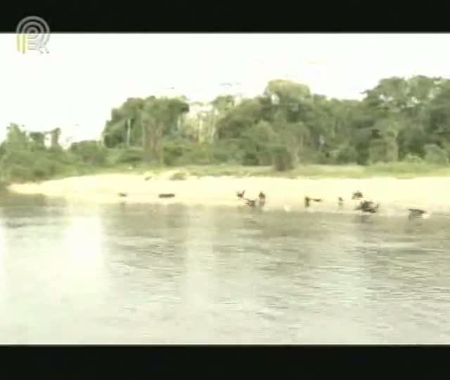 Bom de Pesca mostra último programa da série Vale do Guaporé