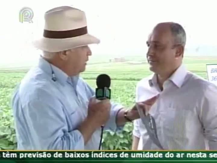 Analista de mercado fala sobre os números do USDA