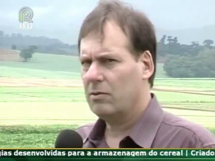 Chefe da Embrapa Soja de Londrina (PR) fala sobre nova cultivar de soja